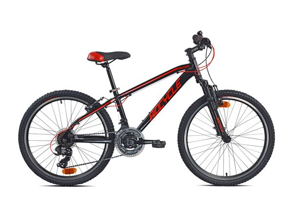 BIOCYCLE ELIXIR 24"
