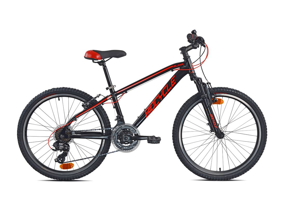 BIOCYCLE ELIXIR 24"