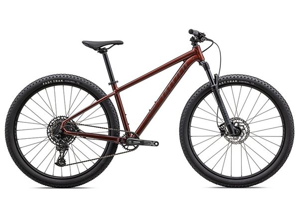 SPECIALIZED ROCKHOPPER EXPERT 29"