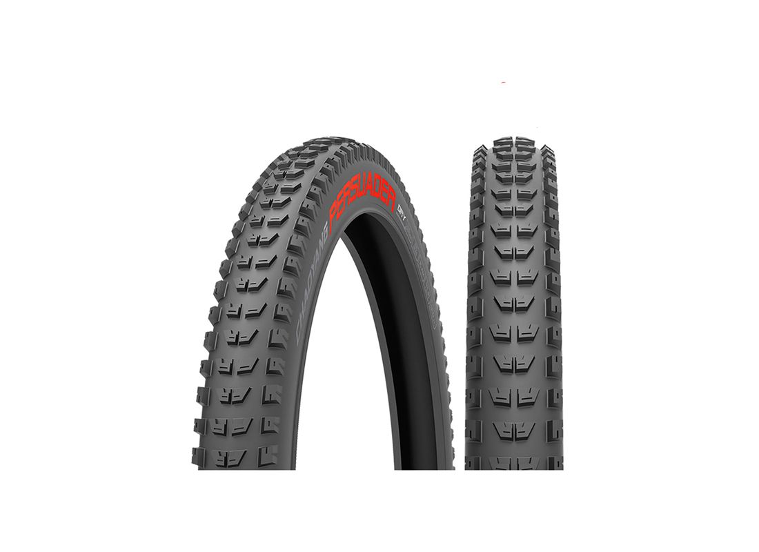 CUBIERTA CHAOYANG PERSUADER DRY